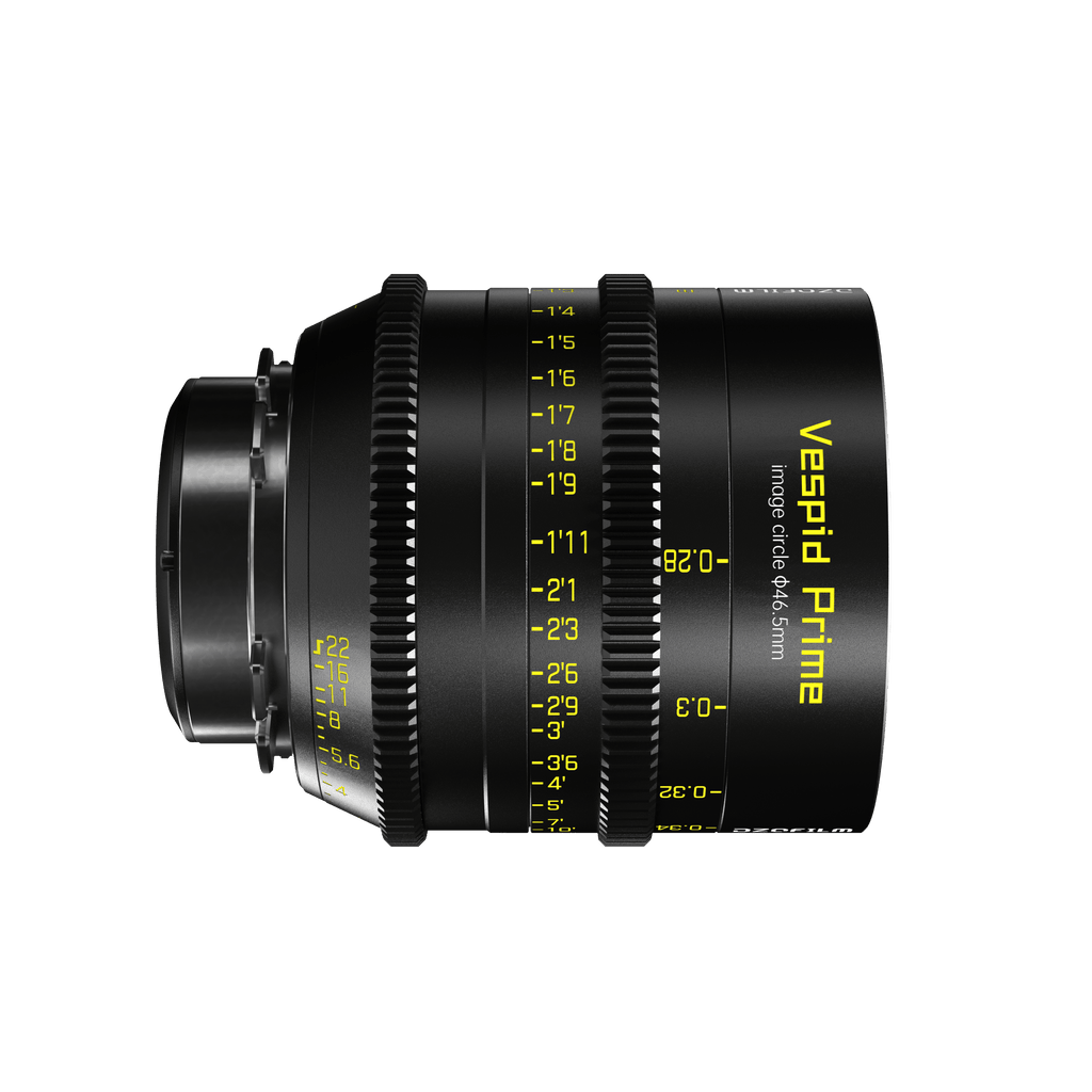 DZOFILM Vespid FF 21mm T2.1 PL & EF mount, Vista Vision Full-Frame Coverage, Interchangeable PL and EF Mount, 46.5mm Image Circle, Manual Focus and Iris, M77 Front Filter