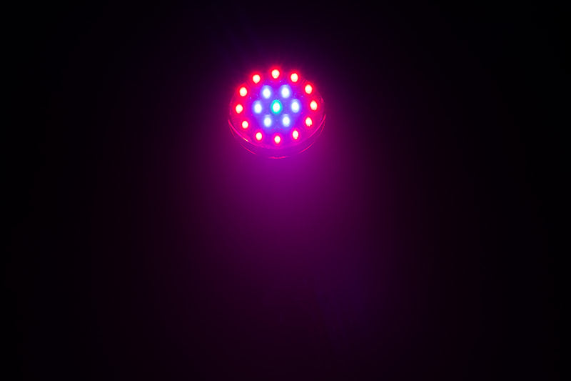 Eliminator Lighting Mega Par Z Wash, LED Wash Par with 19 x 15W RGBW 4-in-1 LEDs, Motorized 10 to 60 Degree Zoom, 3 Independent Color Zones, 2 DMX Channel Modes