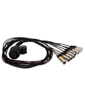 RCF CBL LKS 25-2 FANOUT, 25 Pin To 8X XLR, Cable 1.0 M, Fanout 1.0 M