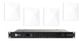 RF Venue 4ZONE Network Pack 4ZONE-NET-DARC, Networked 4 Zone Antenna Combiner with Diversity Architectural Antennas