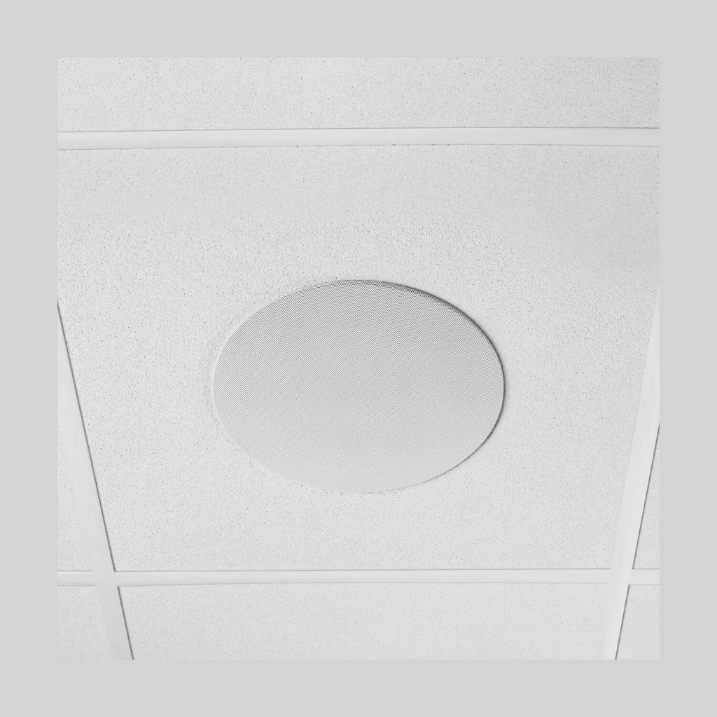 Shure MXN5W-C, Networked Loudspeaker, 5.25 Inch White Ceiling Dante Loudspeaker
