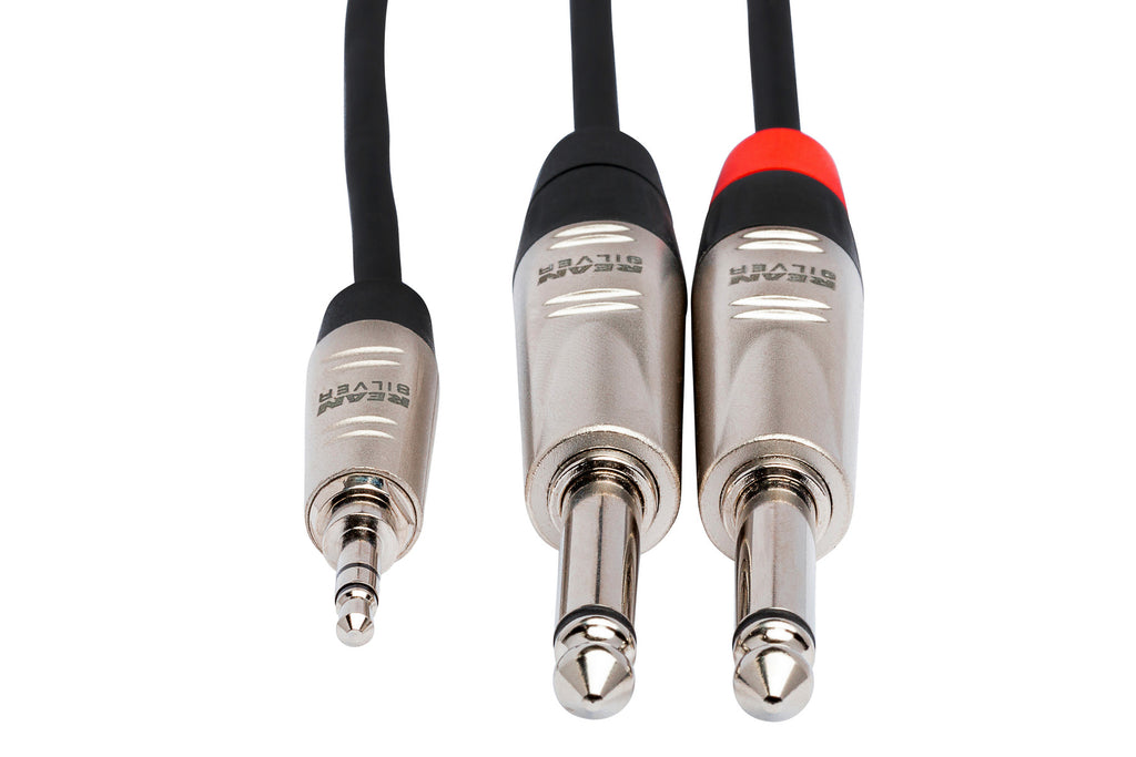 HOSA PRO - Pro Stereo Breakout, REAN 3.5 mm TRS to Dual 1/4 in TS, 10 ft