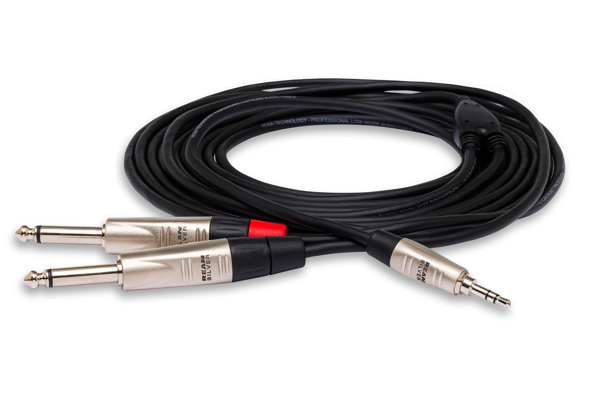HOSA PRO - Pro Stereo Breakout, REAN 3.5 mm TRS to Dual 1/4 in TS, 10 ft