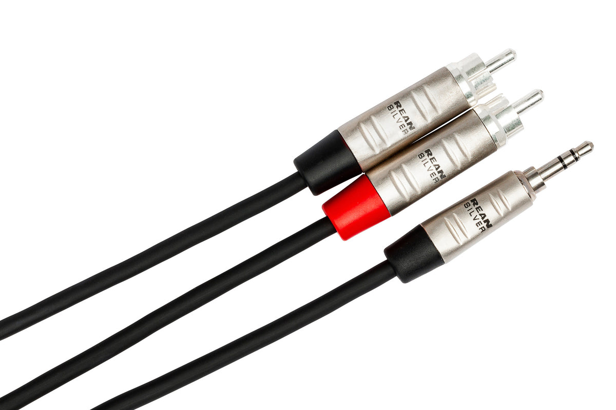 HOSA PRO - Pro Stereo Breakout, REAN 3.5 mm TRS to Dual RCA, 10 ft