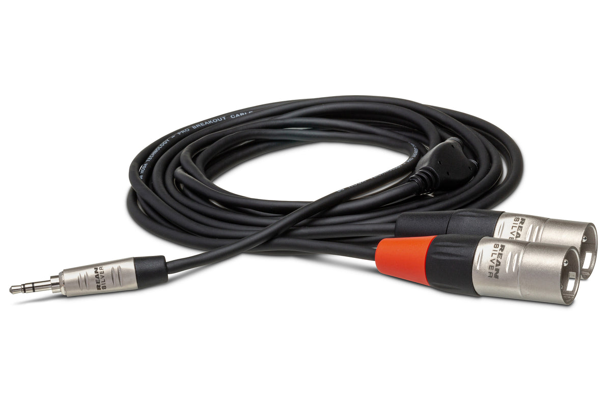 HOSA PRO - Pro Stereo Breakout, REAN 3.5 mm TRS to Dual XLR3M, 10 ft
