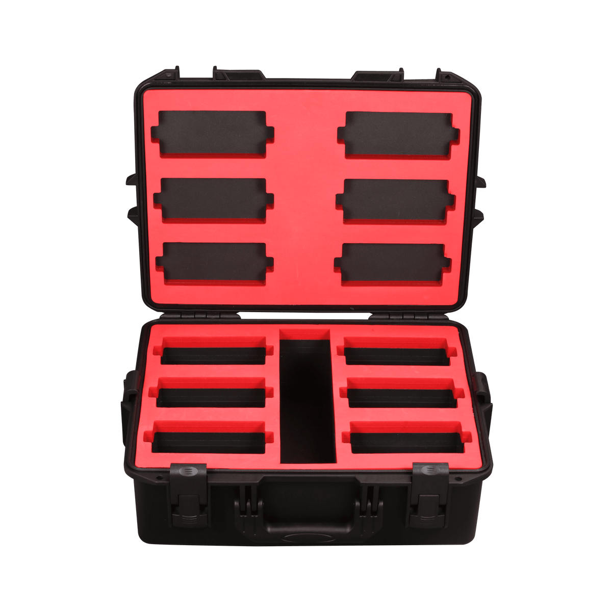MAD PAR 6PK CASE