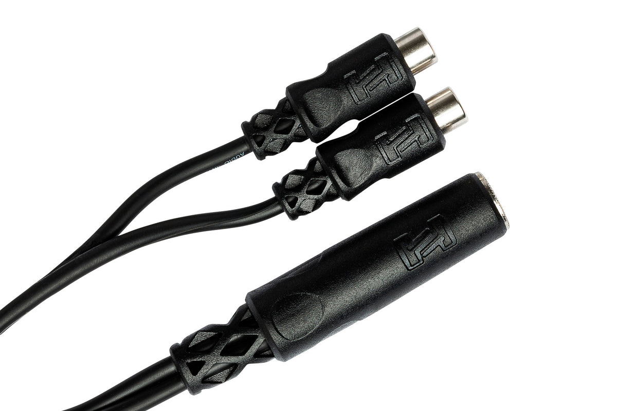 HOSA - Y Cable, 1/4 in TSF to Dual RCAF