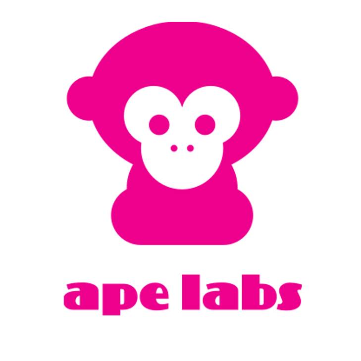 APE LABS Stick Charging Case