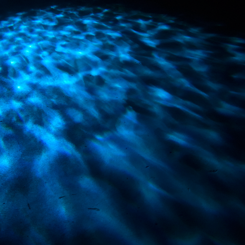 Eliminator Aqua LED