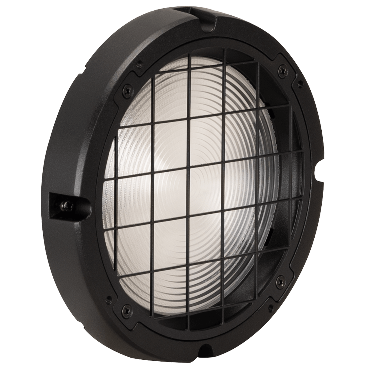Elation SOL Fresnel Lens