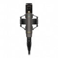 Sennheiser MKH 800 TWIN NX