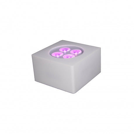 Eternal Lighting CUBECover