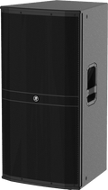 Mackie DRM315-P